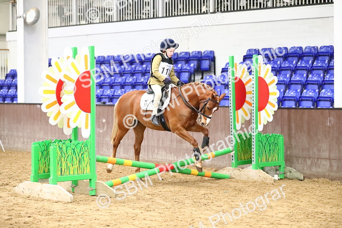 SBM_000646 - Class 2 - 40cm