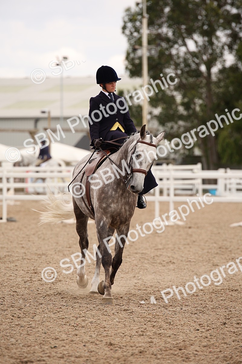 SBM_05490 - Class 22 SSA Equitation