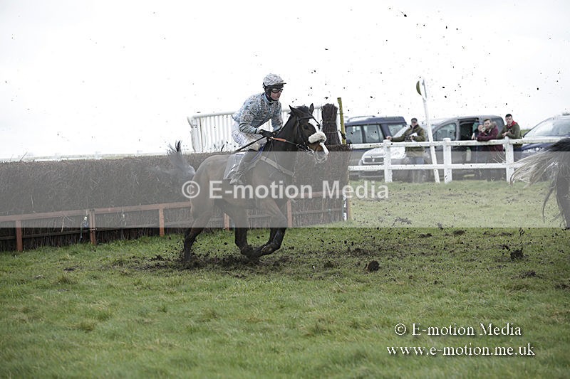 PtP 150320 0494 - New Forest Point-to-Point Larkhill 15/03/20