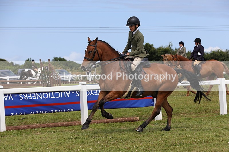 1X9A4020 - Class 32: Show Hunter Pony 153cm and under