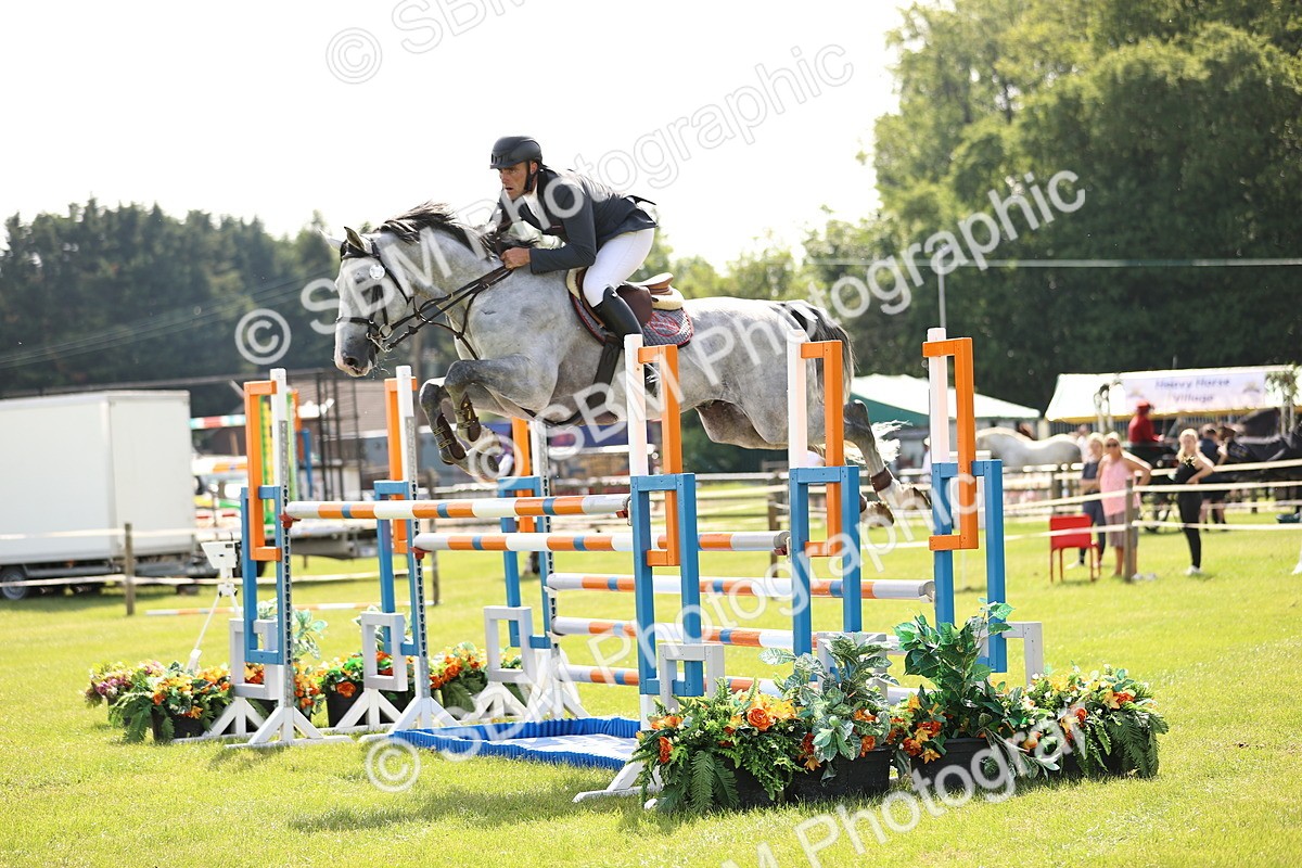 SBM_02972 - Class 201 - British Horse Feedds Speedi Beet HOYS Grade C