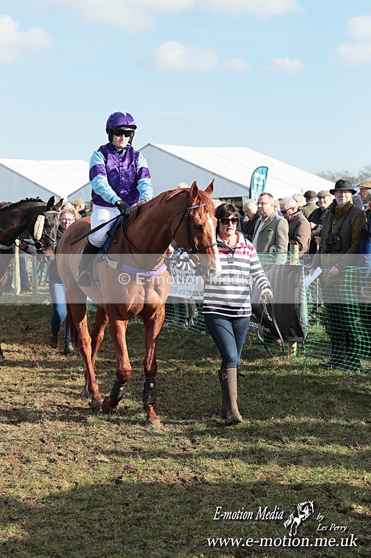 PtP 010325 436 - Beaufort Races Didmarton 01/03/25