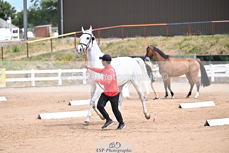 250716-132546-00504 - Trot Up 12.30 to 1.30