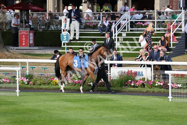 yr08072022r7-2 - Race 7 5.30pm Jigsaw Sports Branding Handicap