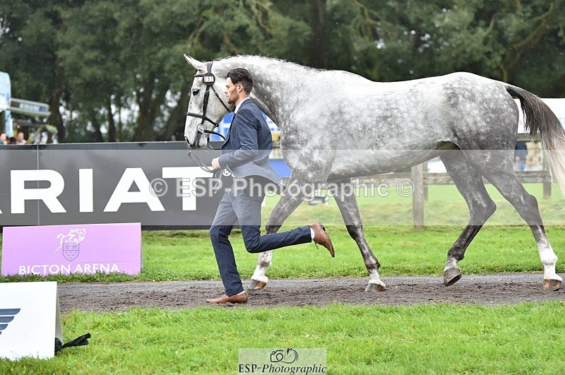 231018-124800-00531 - 067-WHIXLEY.QUALITAS-Barnie.Brotherton-TrotUp