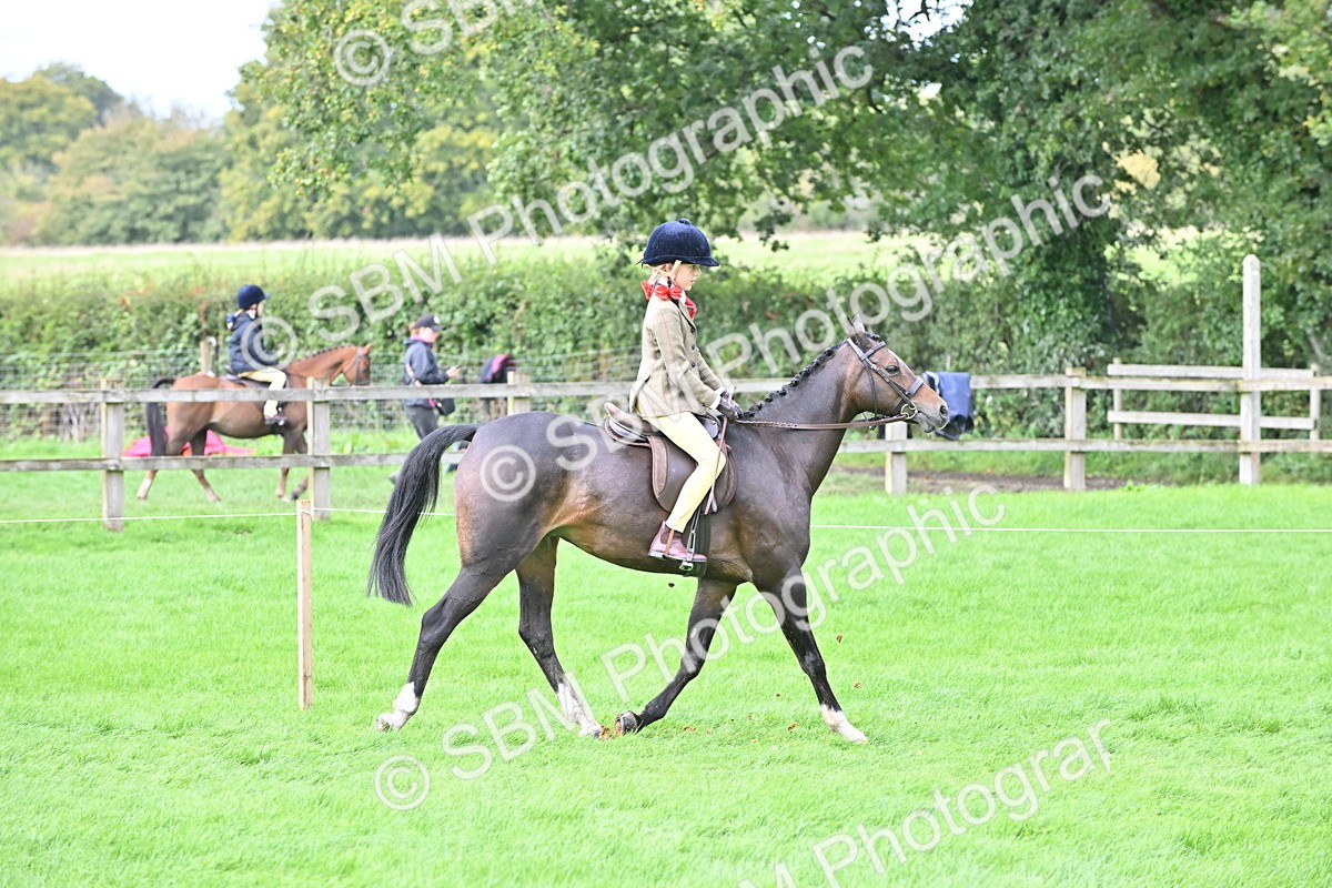 SBM_44471 - S13 - Pony Club Pony