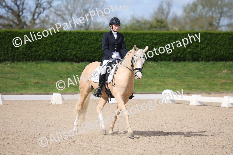 20260405-0196 - Class 3 - Novice 5