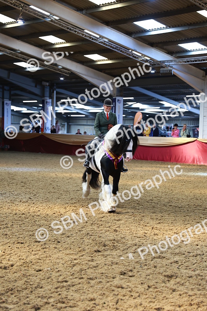 SBM_12815 - HOYS Veteran Qualifier - Ridden Champ