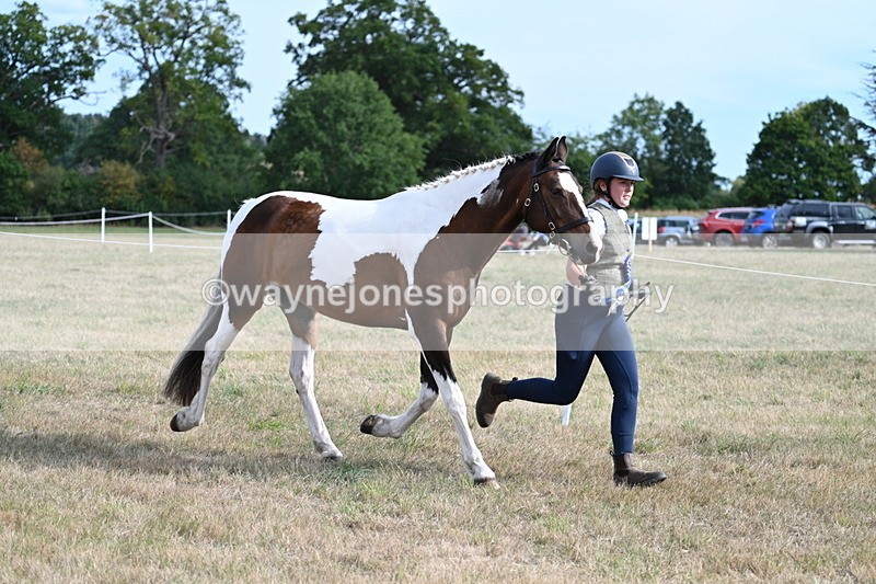 WJ7_8180 - In-hand Championship