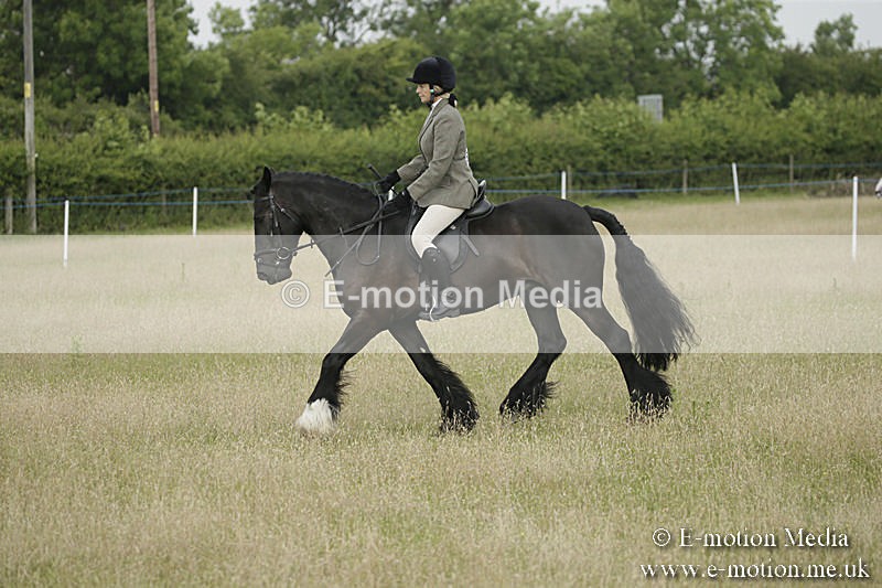 B230619-0169 - Bourne Valley Riding Club Summer Show 23/06/19