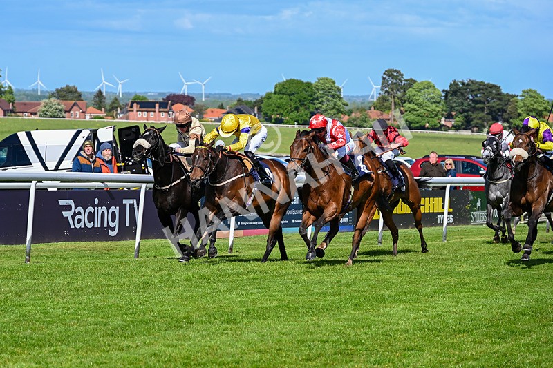 120526-Race 4-Dandy Dinmont-8269 - Race 4 4.00pm Annie Oxtoby Memorial Handicap