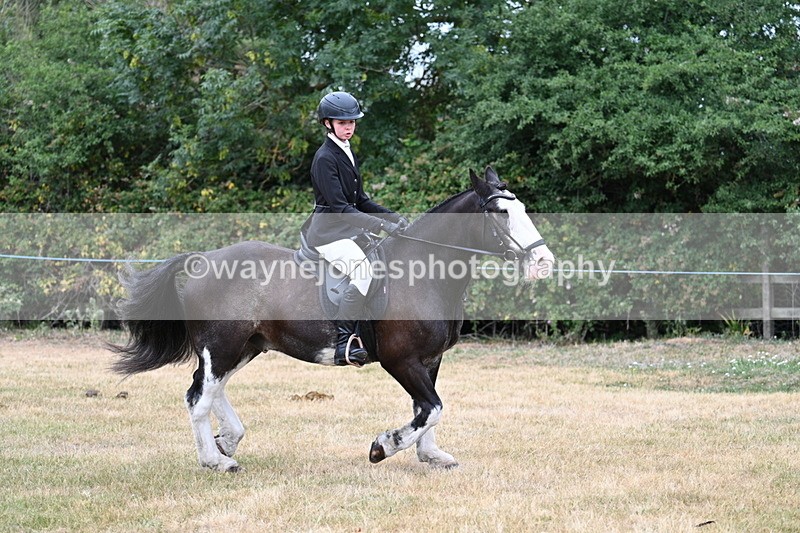 WJ7_0303 - Class 2 Best rider