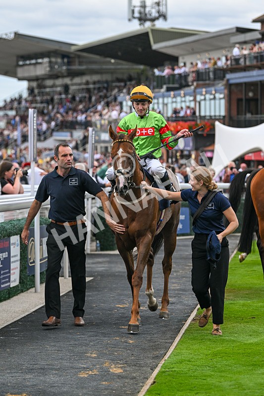 300825-Race 6-Hundred Caps-1864 - Race 6