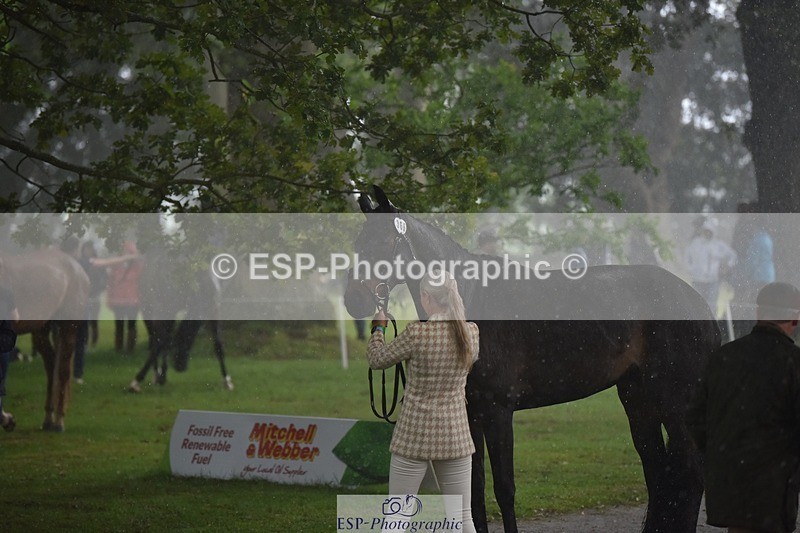 240522-151602-00211 - 366-GYPSIE_DU_LOIR-Yasmin_Ingham