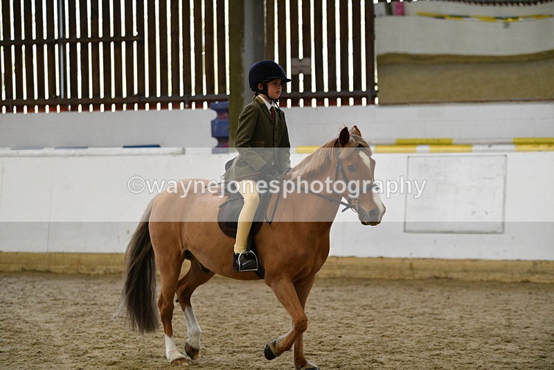 WJ5_6232 - Class 9 Ridden Veteran