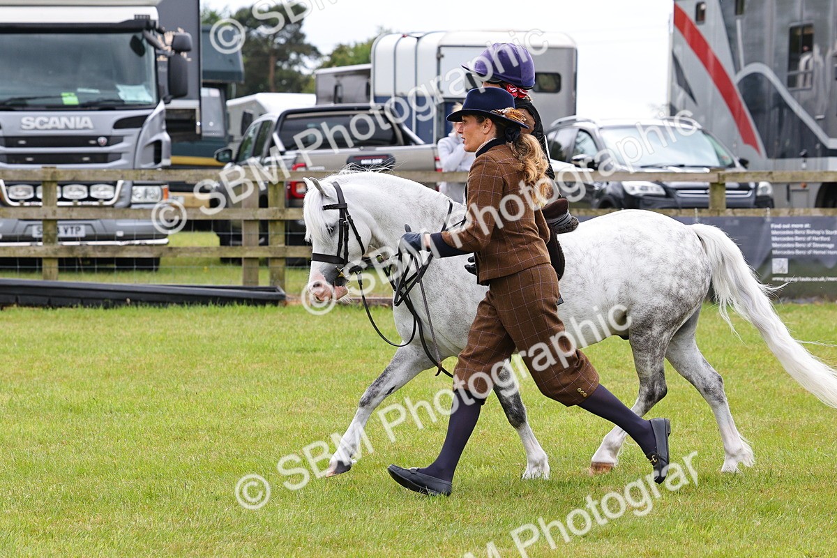 SBM_08265 - Class 42-43 - LIHS BSPS Heritage Working Sports Pony