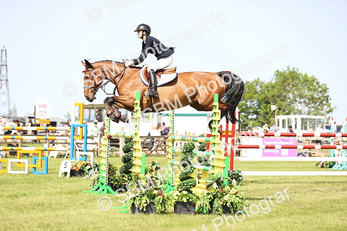 SBM_03114 - Class 201 - British Horse Feedds Speedi Beet HOYS Grade C