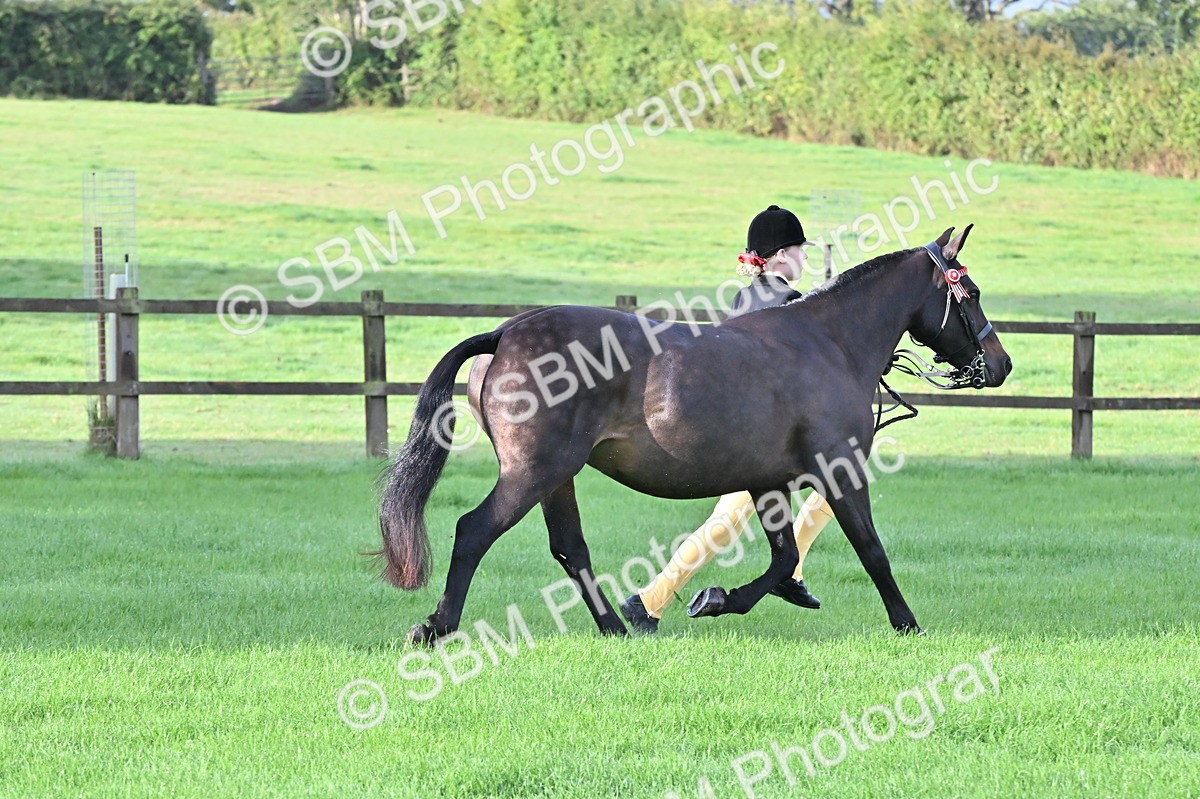 SBM_32610 - S15 - Top Turnout In Hand