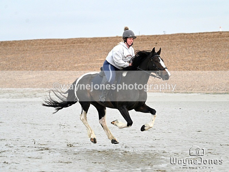 WJ7_9403 - Hayling Island Beach Shoot 22-09-24