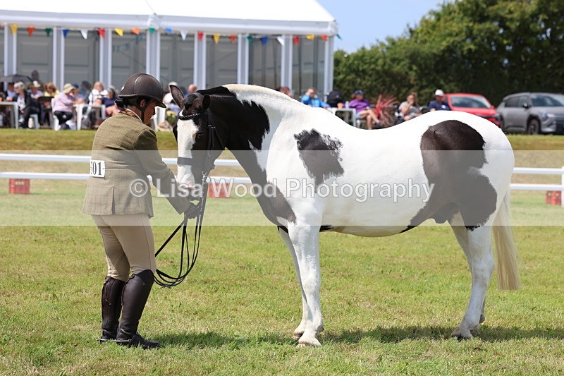 3E7A2202 - Class 10: Open Cob