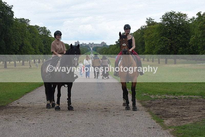 TT3_0036 - Time at Crossing 13:17 to 14:48