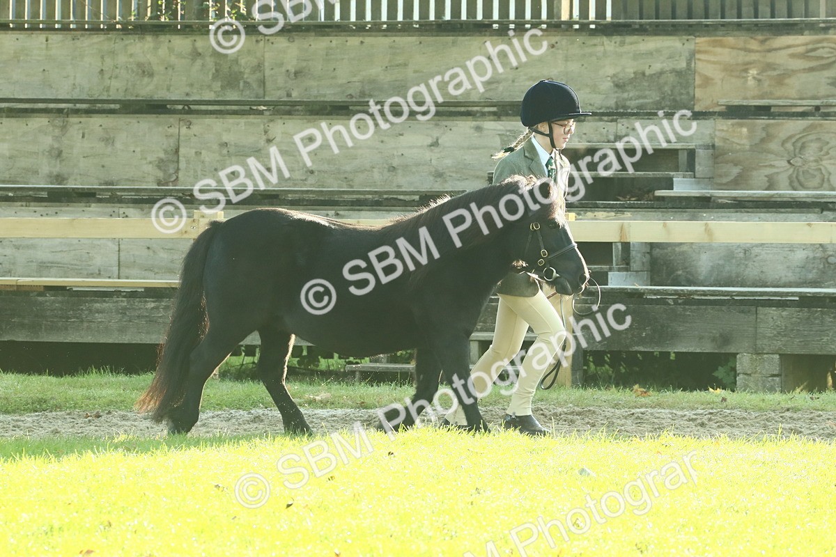 SBM_57390 - S37 - Starters In Hand Showing