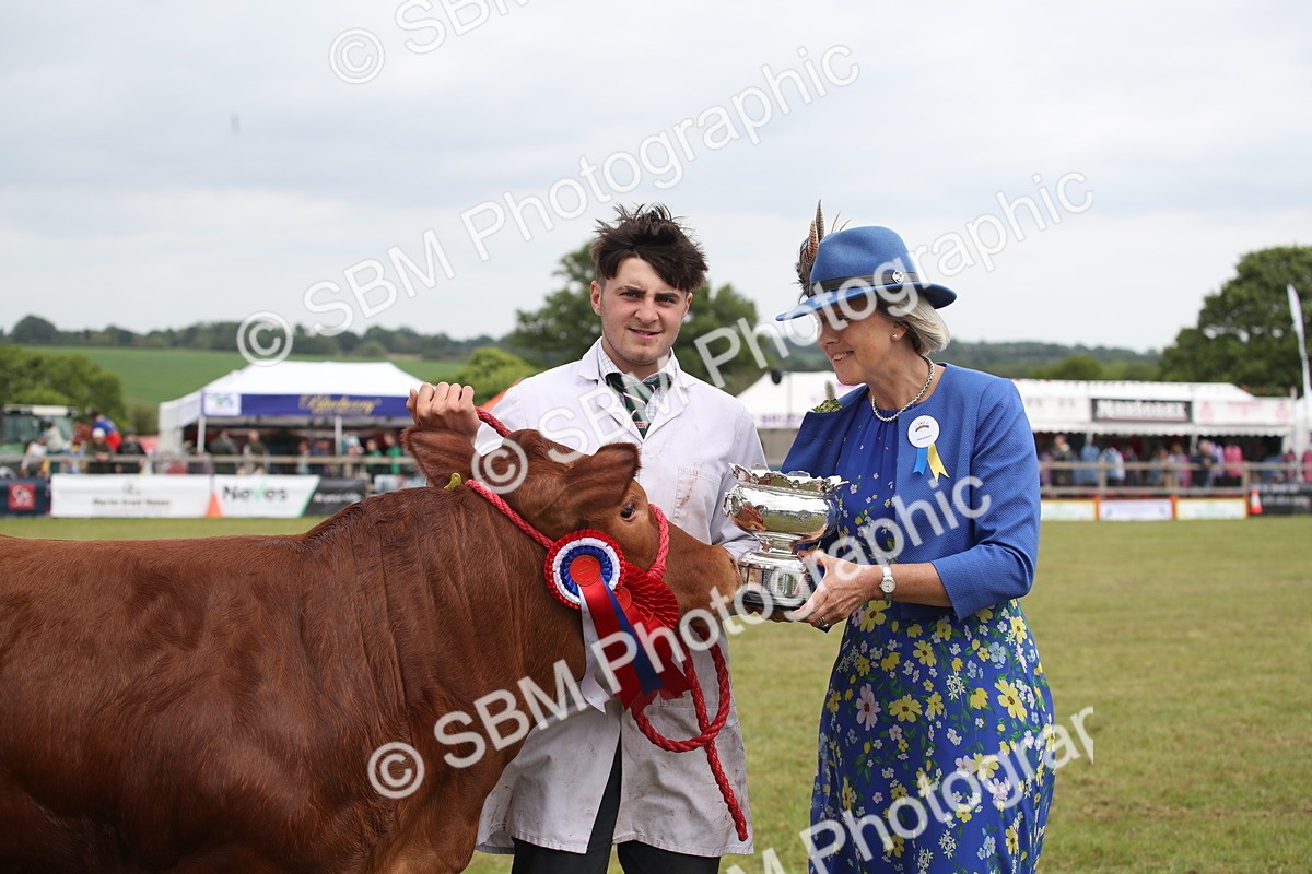 SBM_07938 - Grand Parade
