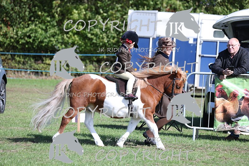 APP_3818 - Class 13 Lead rein