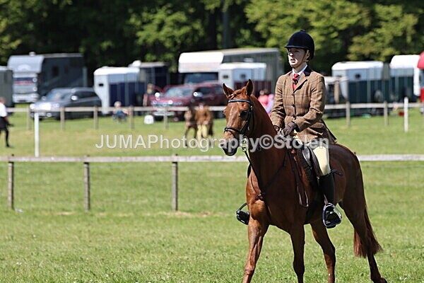 IMG_3784 - Working Hunter