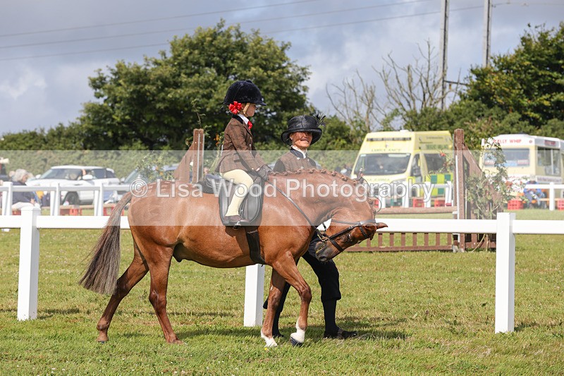 1X9A3567 - Class 29: Lead Rein SP/SHP