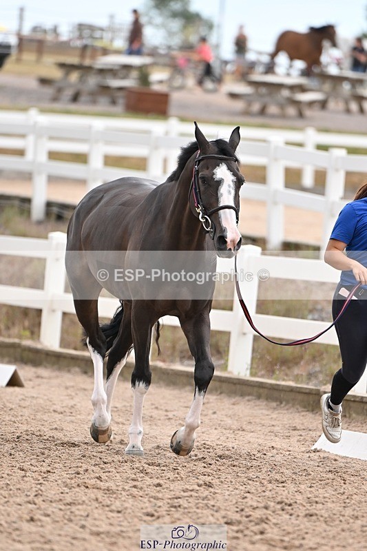 250716-145529-01509 - Trot Up 2.30 to 3.30