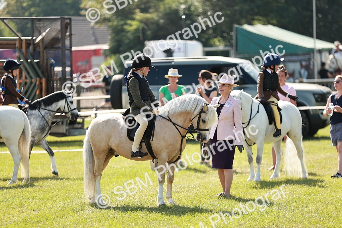 SBM_12658 - Class 106-107 - BSPS LIHS Working Sports Pony