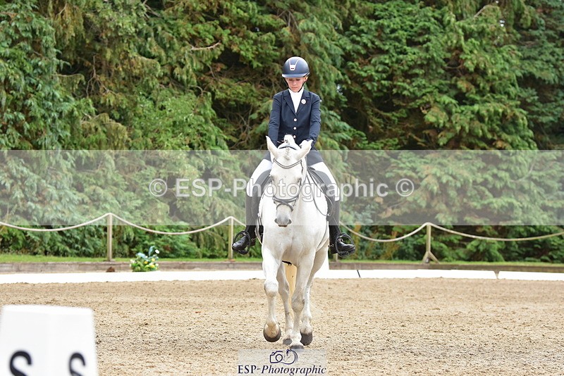 250719A-153426-06885 - 024-Neve.Moran-Clareville.Golden.Knight
