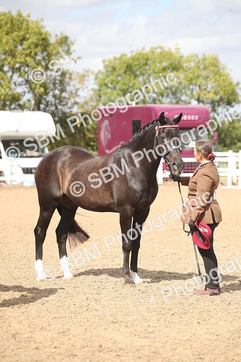 SBM_23469 - Class 604 - 2026 - Area IH Diamond