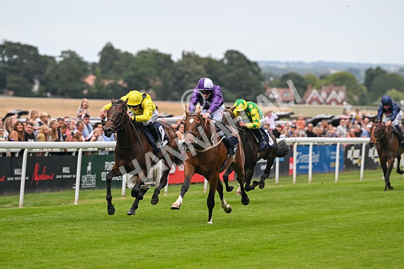 290725-Race 3-Ancient Egypt-0108 - Race 3