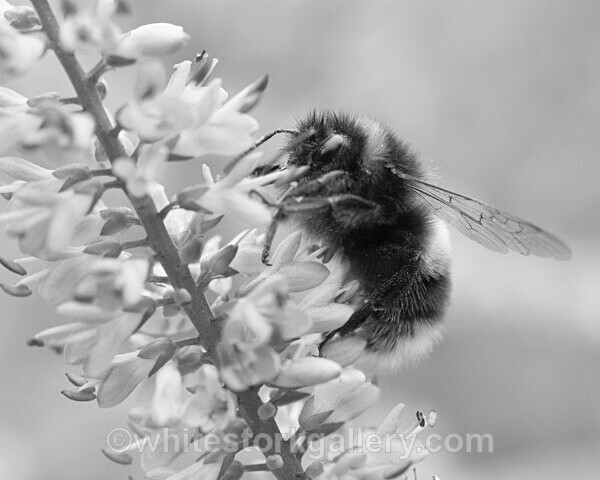  - Slow Photography