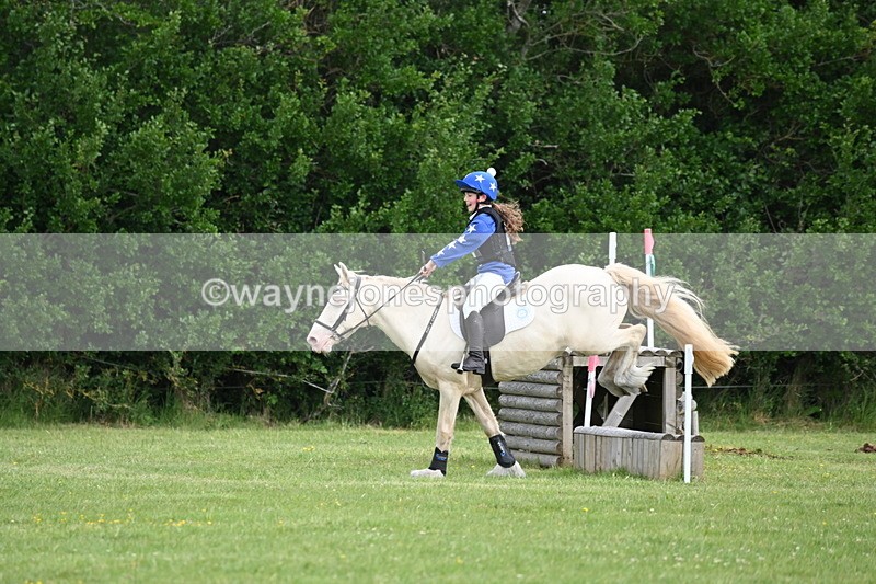 WJ6_2663 - Class 2 40cm