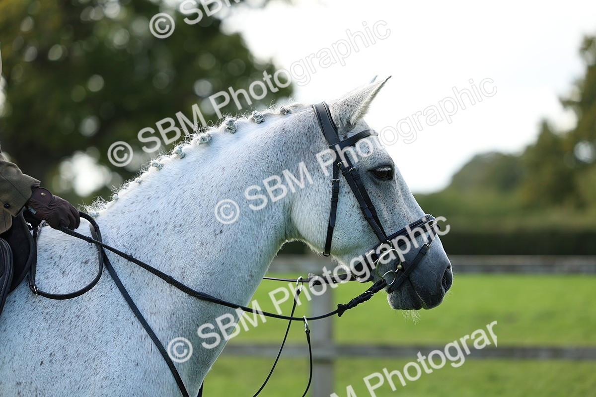 SBM_45519 - S33 - Working Hunter Pony