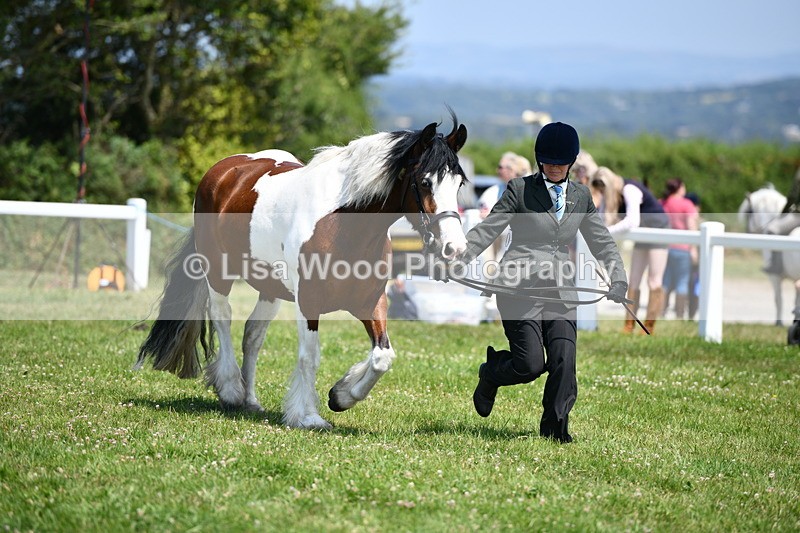 DSC_7654 - Class 64: Coloured Pony 4yrs & over