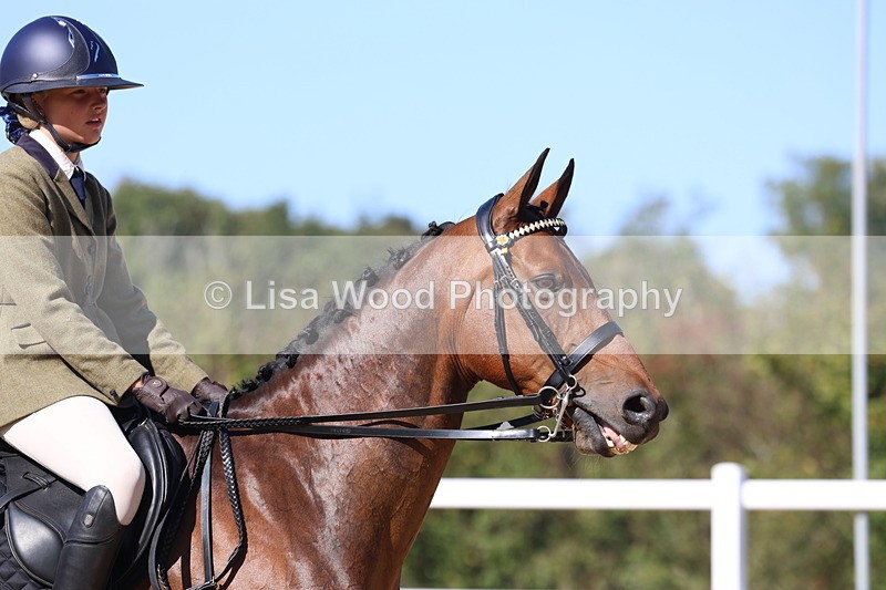 3E7A5755 - Class 10: Riding Horse