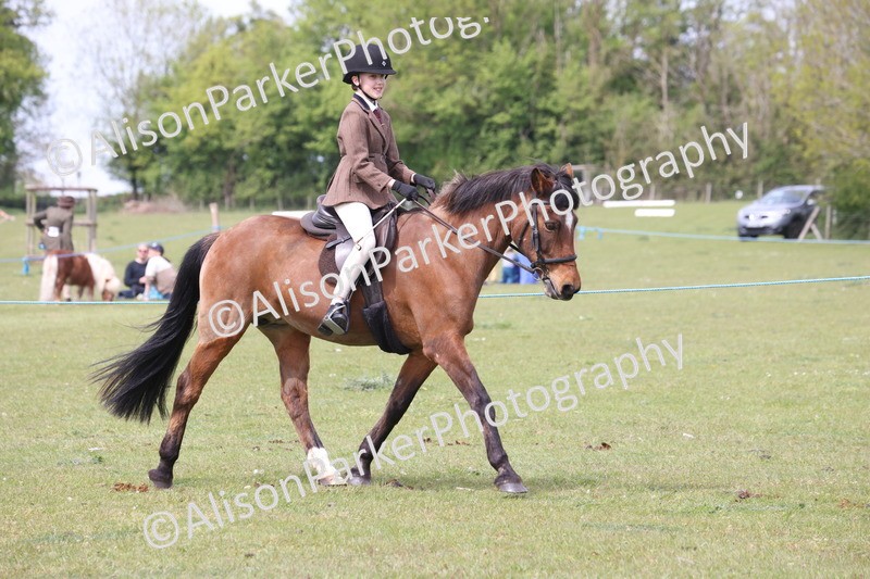 20260426-2938 - Class 33 - Best Pony 14.2hh and Under