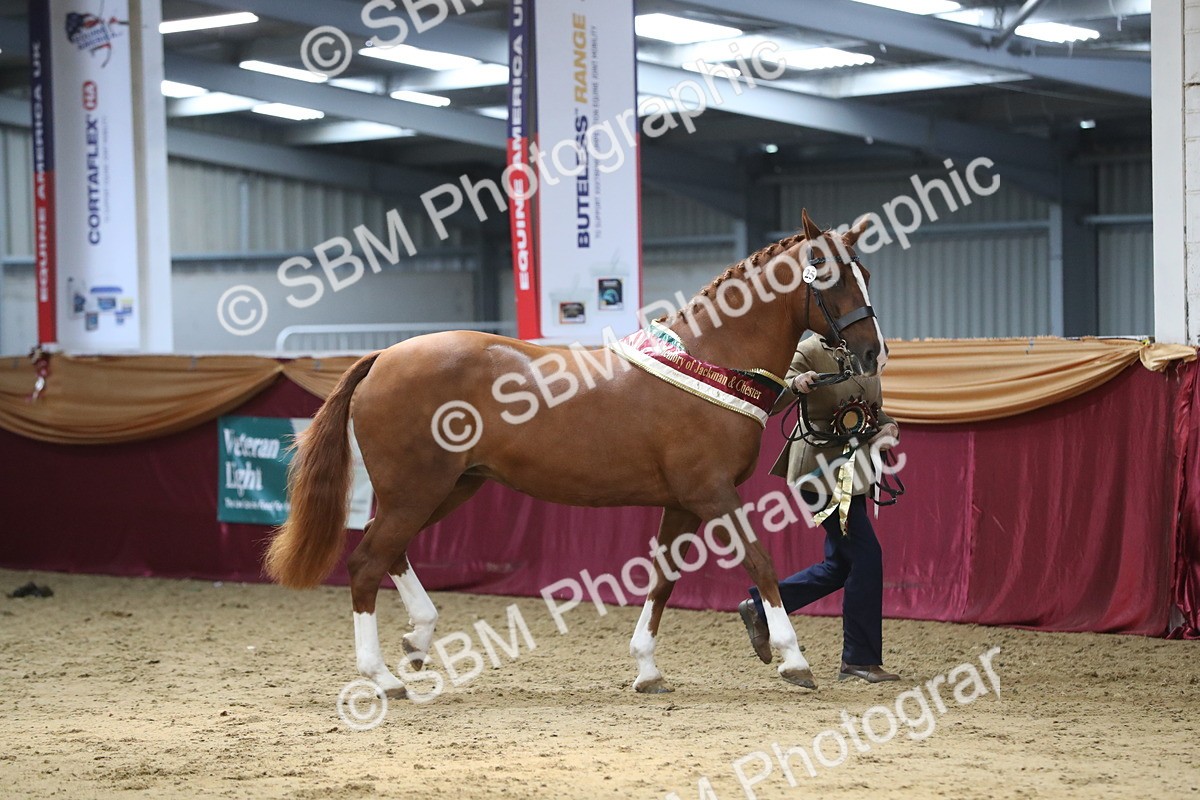 SBM_06612 - Regional IH Champ