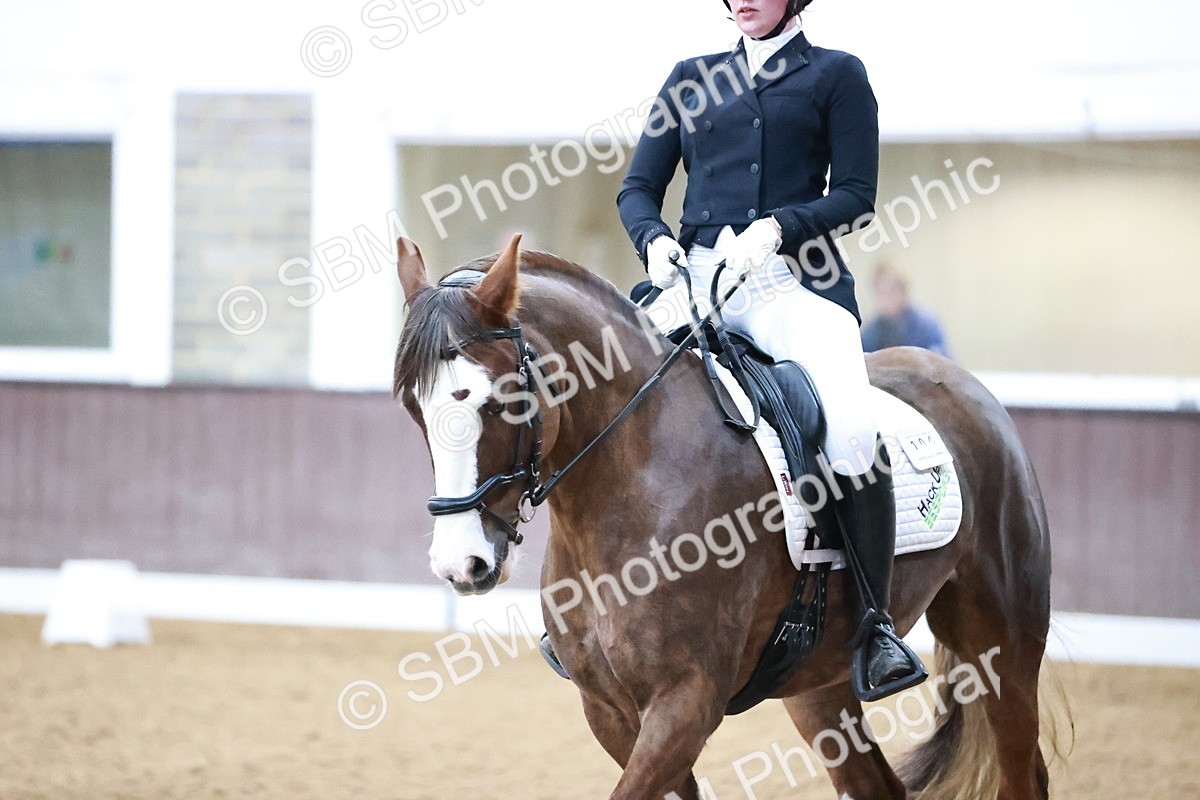 SBM_000138 - Class 3, 4, 8, 10 Intro 3 Prelim 3 Novice 2