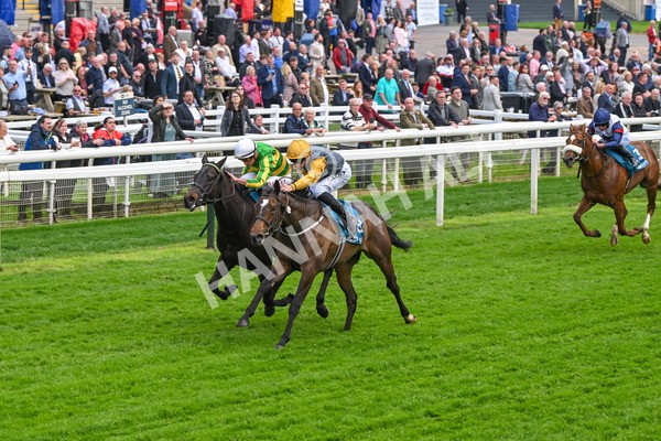 150524-Race 6-Shadow Army-4574 - Race 6 4.45pm British Stallion Studs EBF Novice Stakes