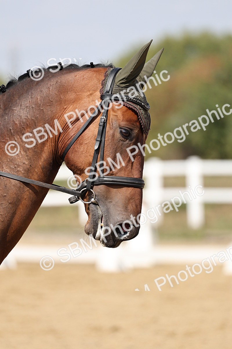 SBM_018596 - Class 16 - Novice 5 - 12.08-13.11