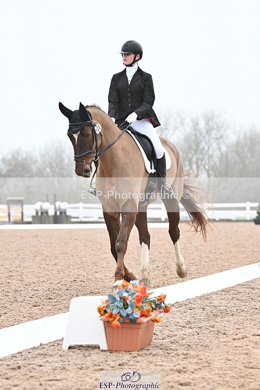 240217A-095220-00464 - 123-Daisy.Hedges-Felicia.v