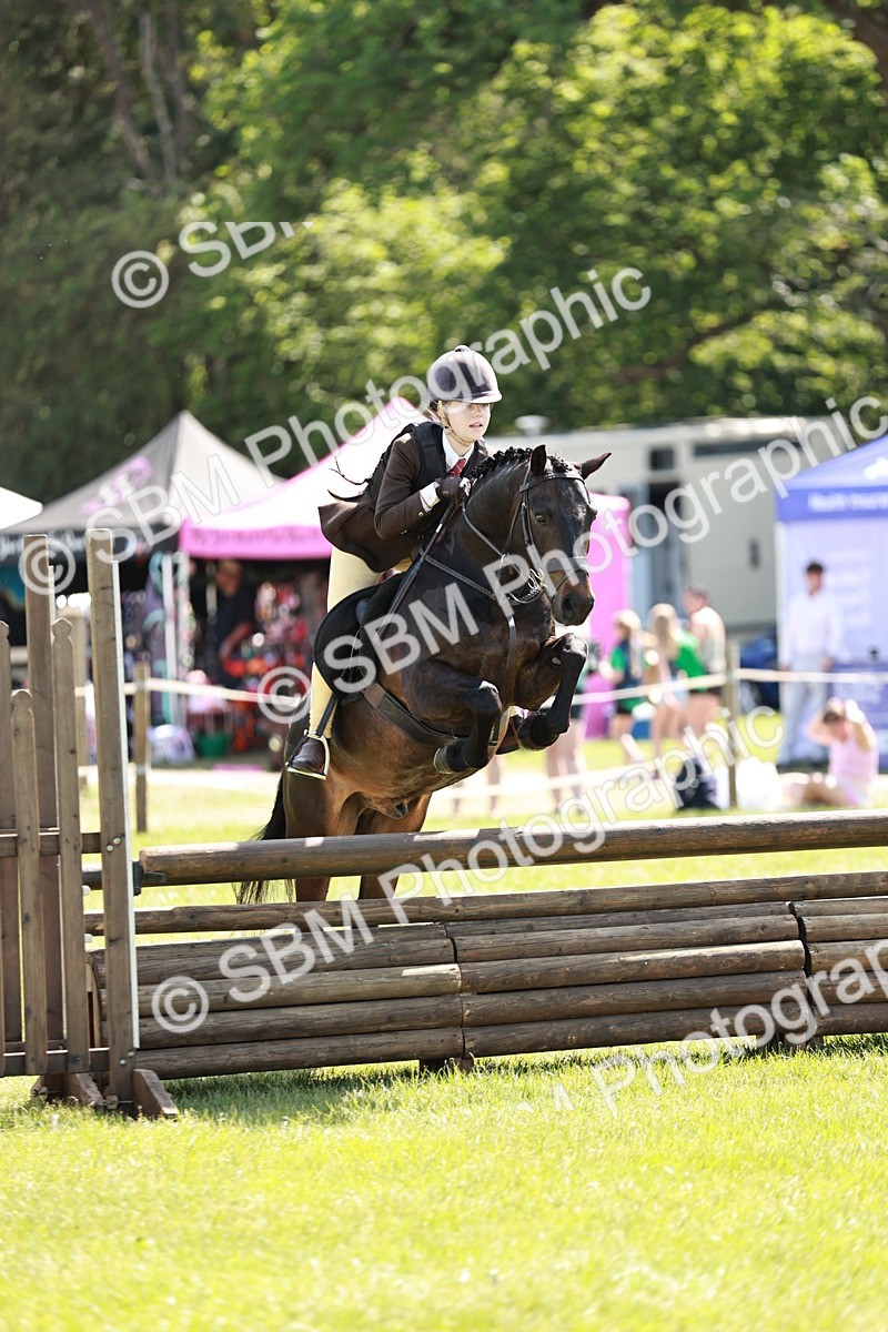 SBM_17640 - Class 112-113 - BSPS LIHS Working Sports Pony