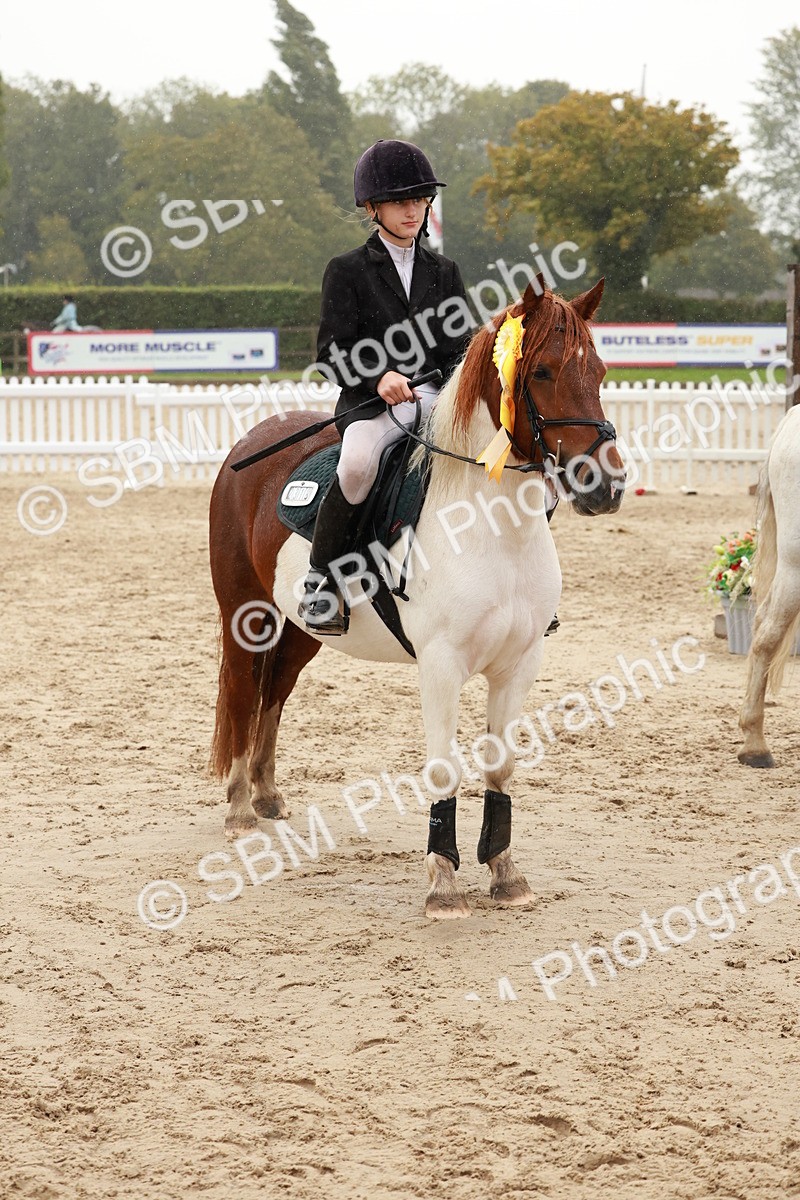 SBM_72311 - J14 - Junior Pony 65cm Championship