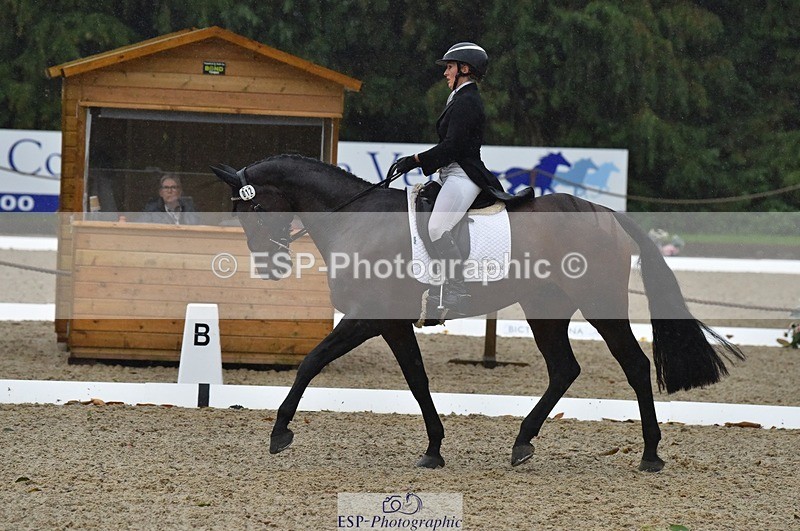 231018-154248-00854 - 012-ROMANY.CRICKET-Nana.Dalton-DR