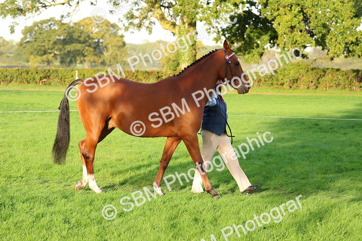 SBM_32751 - S8 - Best Turned Out